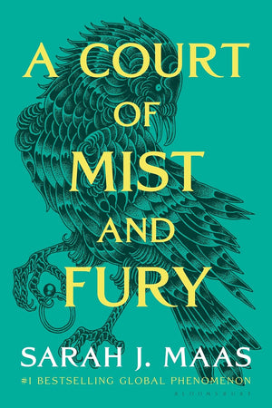 A Court of Mist and Fury by Sarah J. Maas (Book 2 of 7: A Court of Thorns and Roses) | Instant PDF Download (No Physical Book)