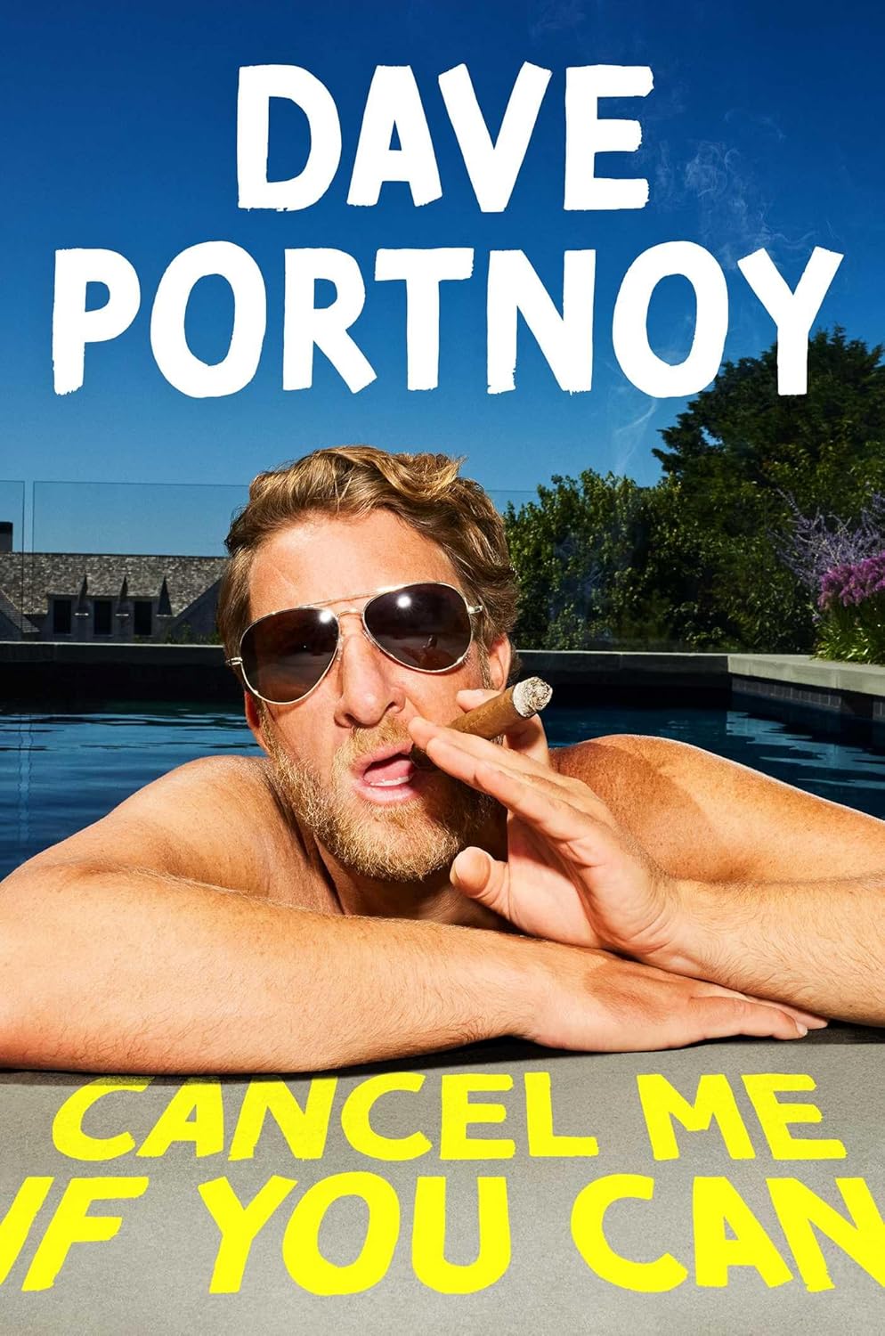 Cancel Me If You Can by Dave Portnoy | Instant PDF Download (No Physical Book)