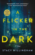 A Flicker in the Dark by Stacy Willingham | Instant PDF Download (No Physical Book)