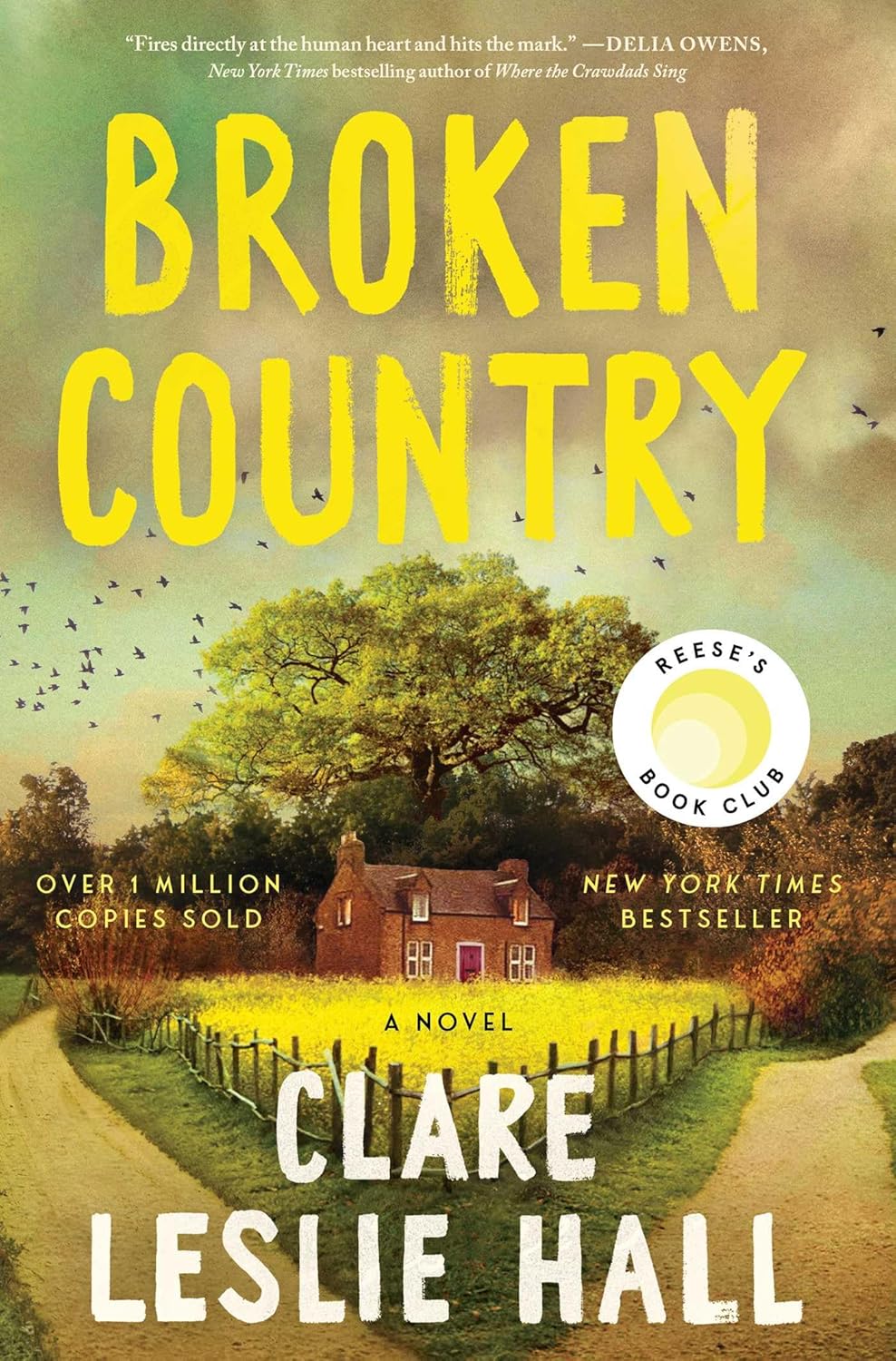 Broken Country by Clare Leslie Hall | Instant PDF Download (No Physical Book)