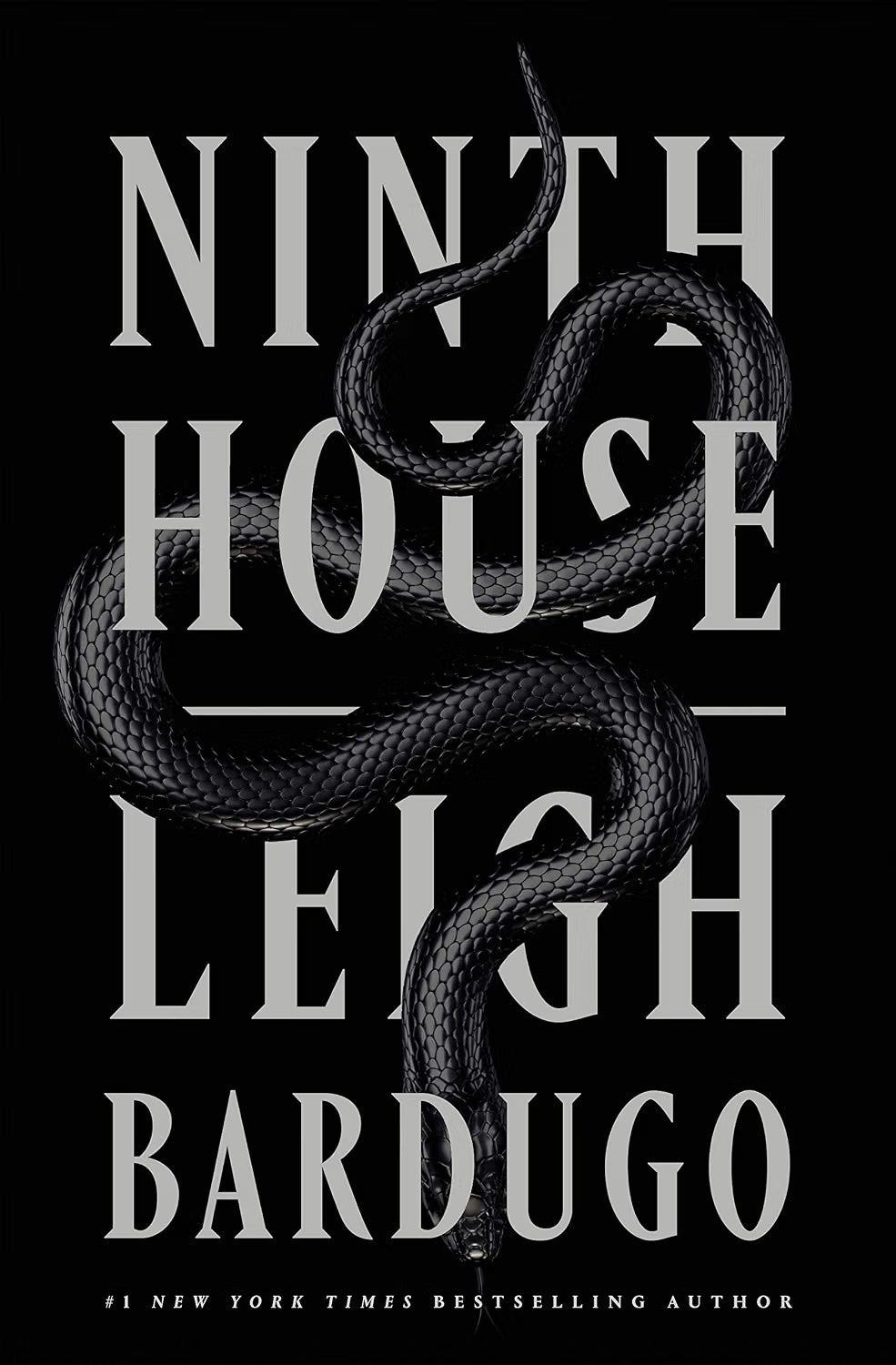 Ninth House by Leigh Bardugo (Book 1 of 3: Ninth House) | Instant PDF Download (No Physical Book)