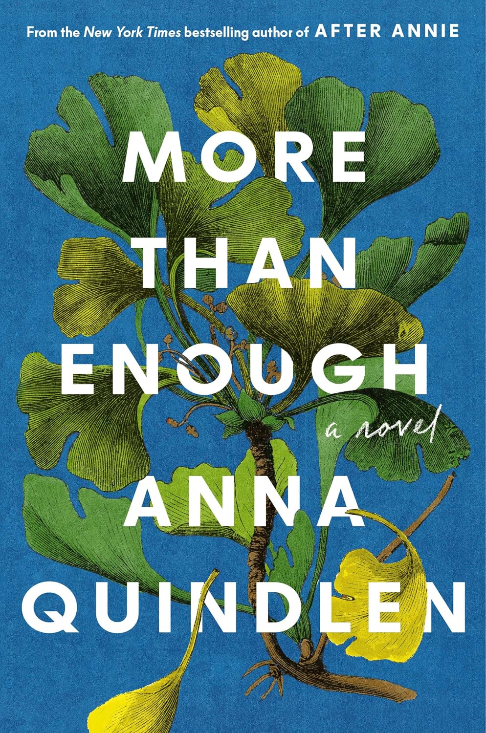 More Than Enough by Anna Quindlen | Instant PDF Download (No Physical Book)