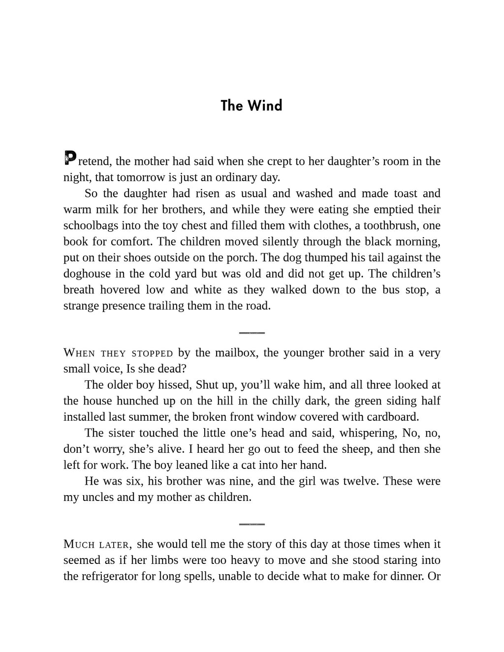 Brawler by Lauren Groff | Instant PDF Download (No Physical Book)