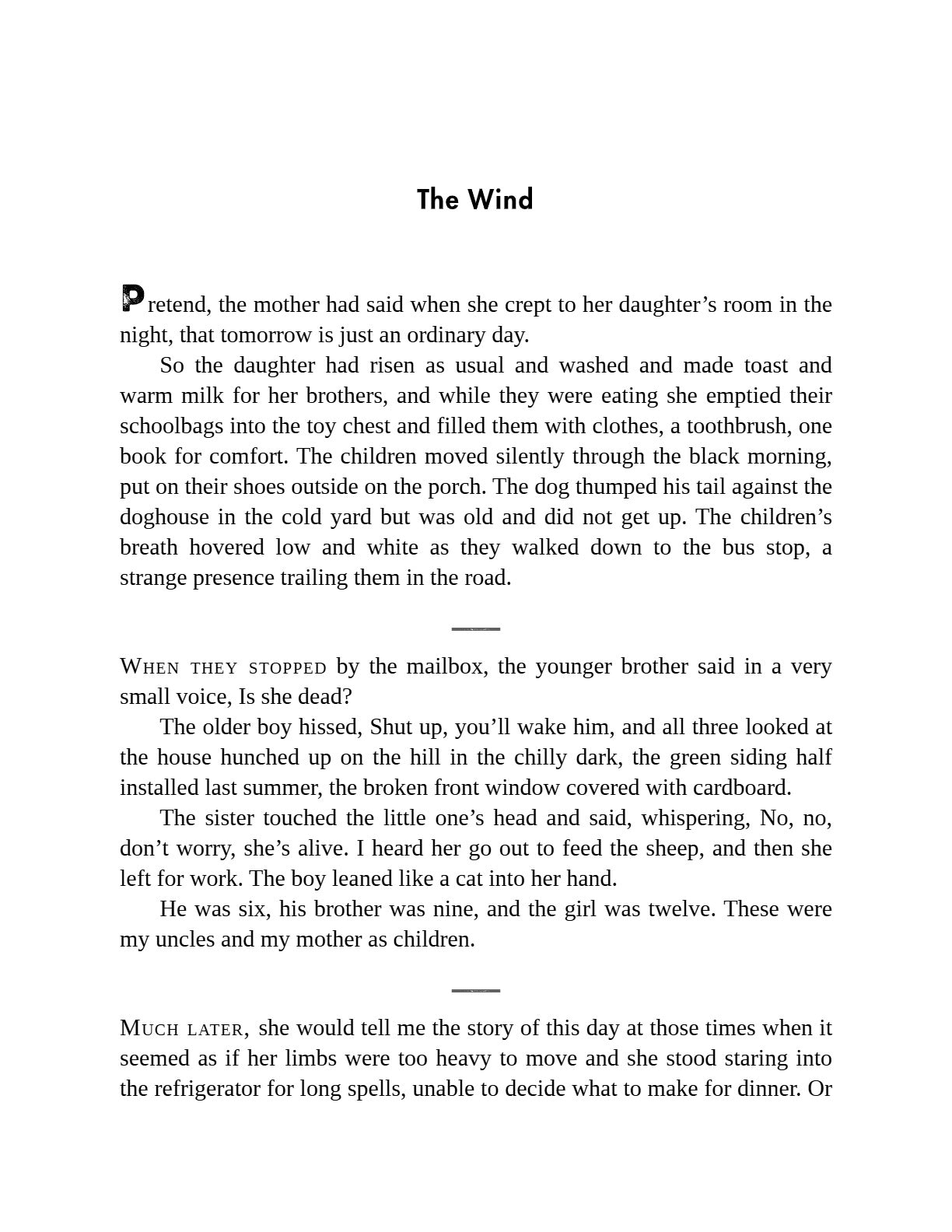 Brawler by Lauren Groff | Instant PDF Download (No Physical Book)