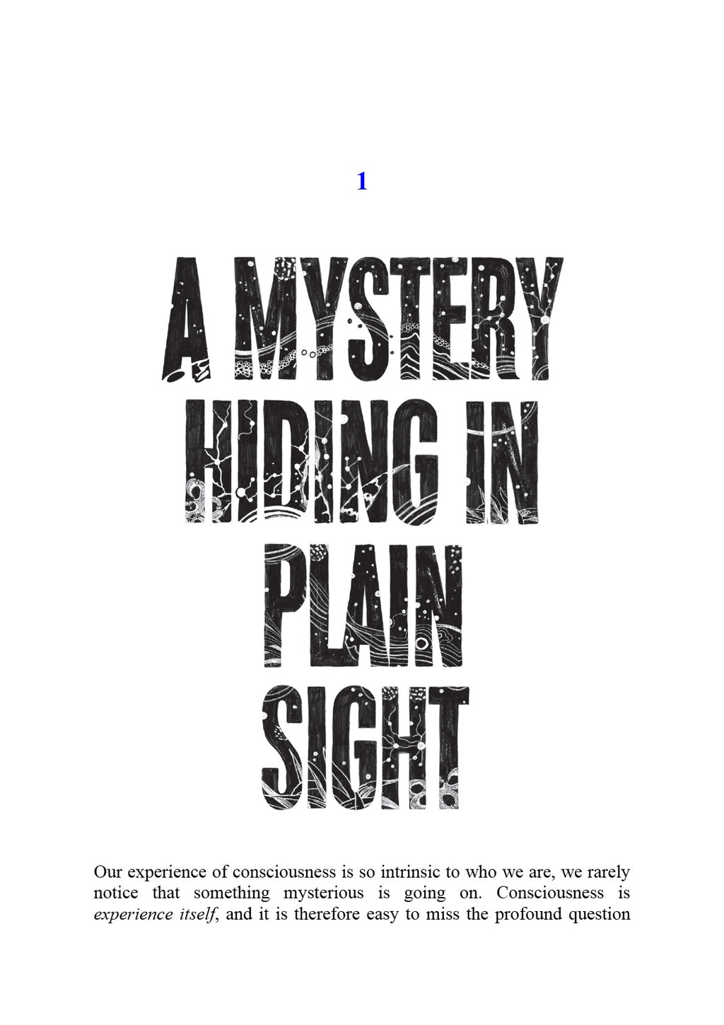 Conscious: A Brief Guide to the Fundamental Mystery of the Mind by Annaka Harris | Instant PDF Download (No Physical Book)