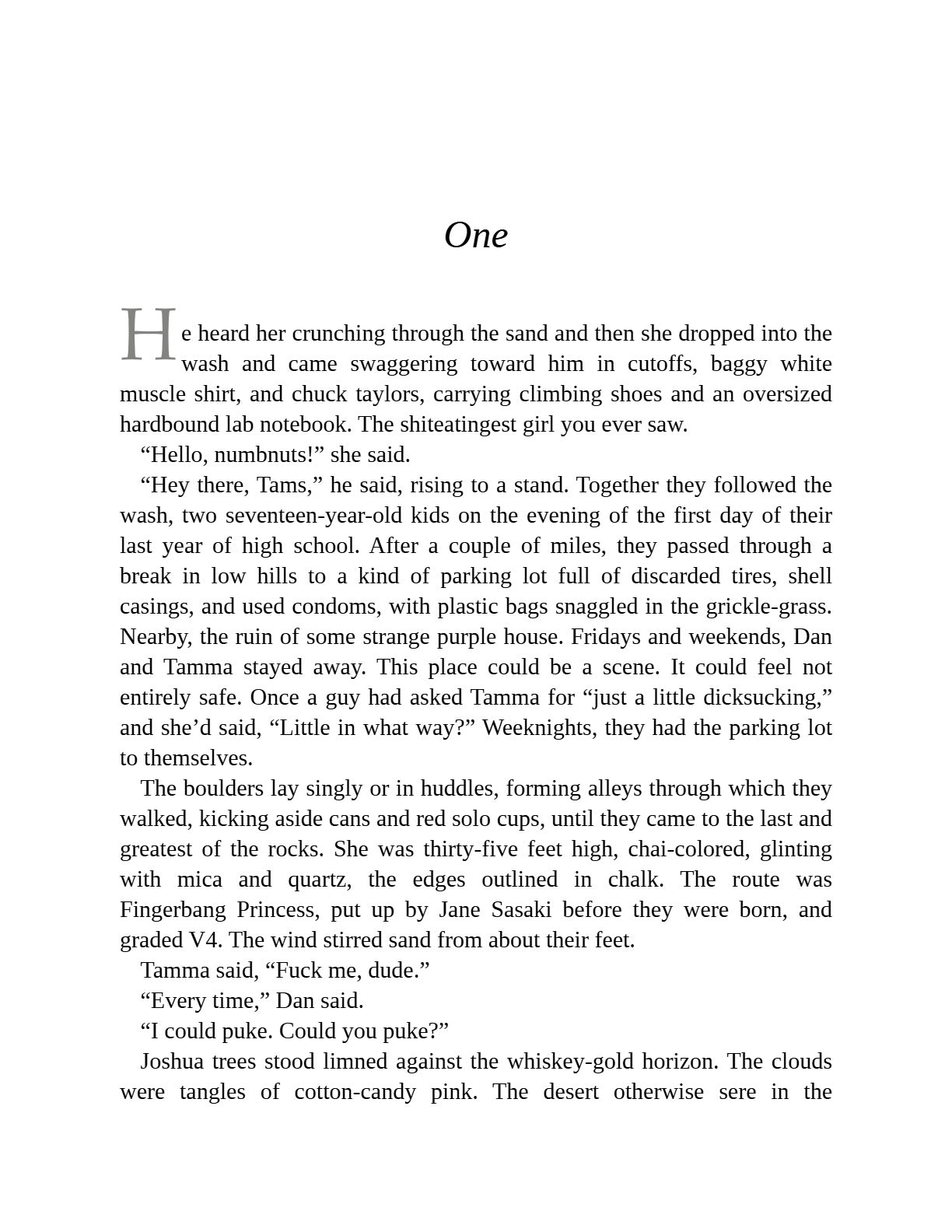 Crux by Gabriel Tallent | Instant PDF Download (No Physical Book)