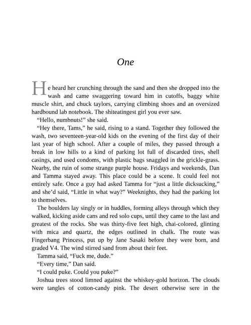 Crux by Gabriel Tallent | Instant PDF Download (No Physical Book)