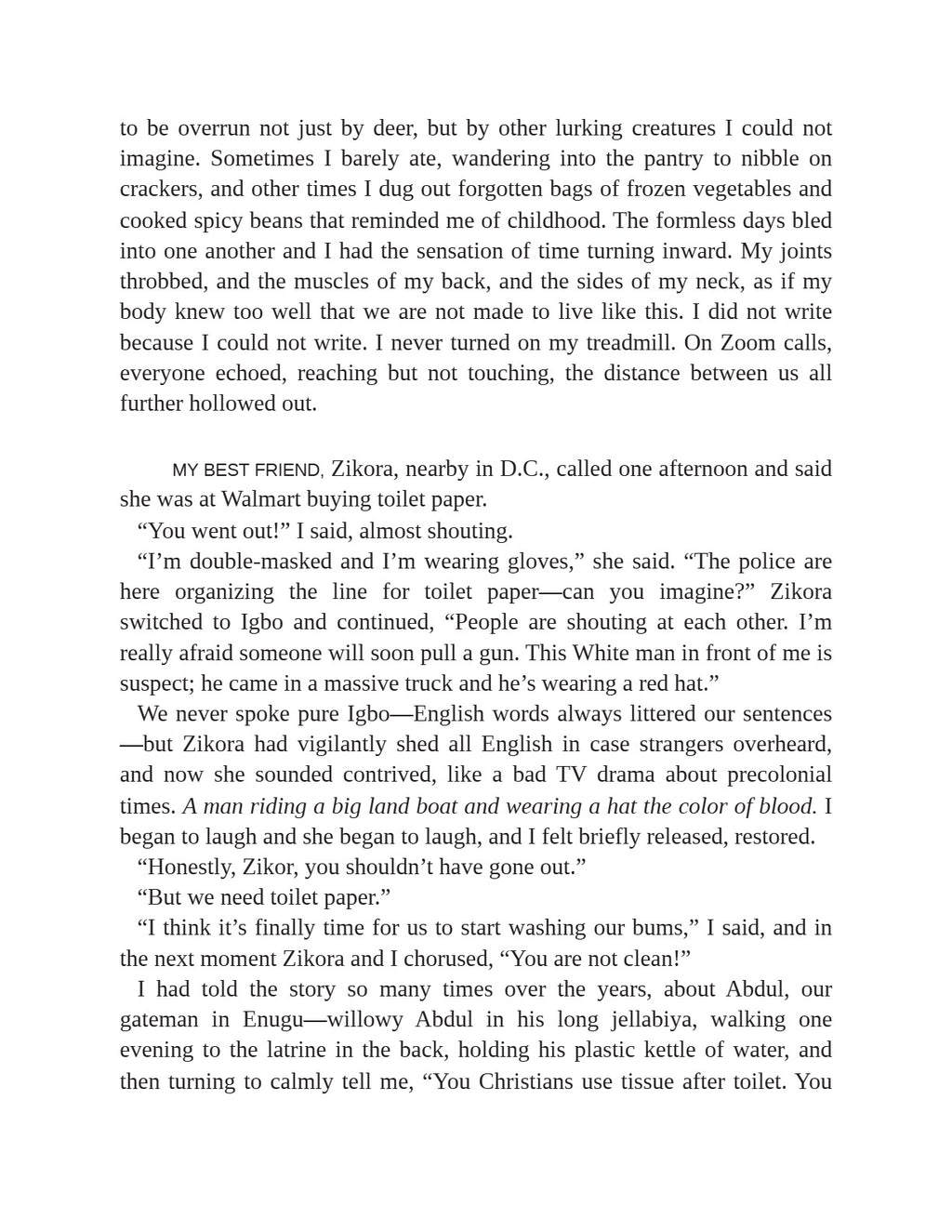 Dream Count by Chimamanda Ngozi Adichie | Instant PDF Download (No Physical Book)