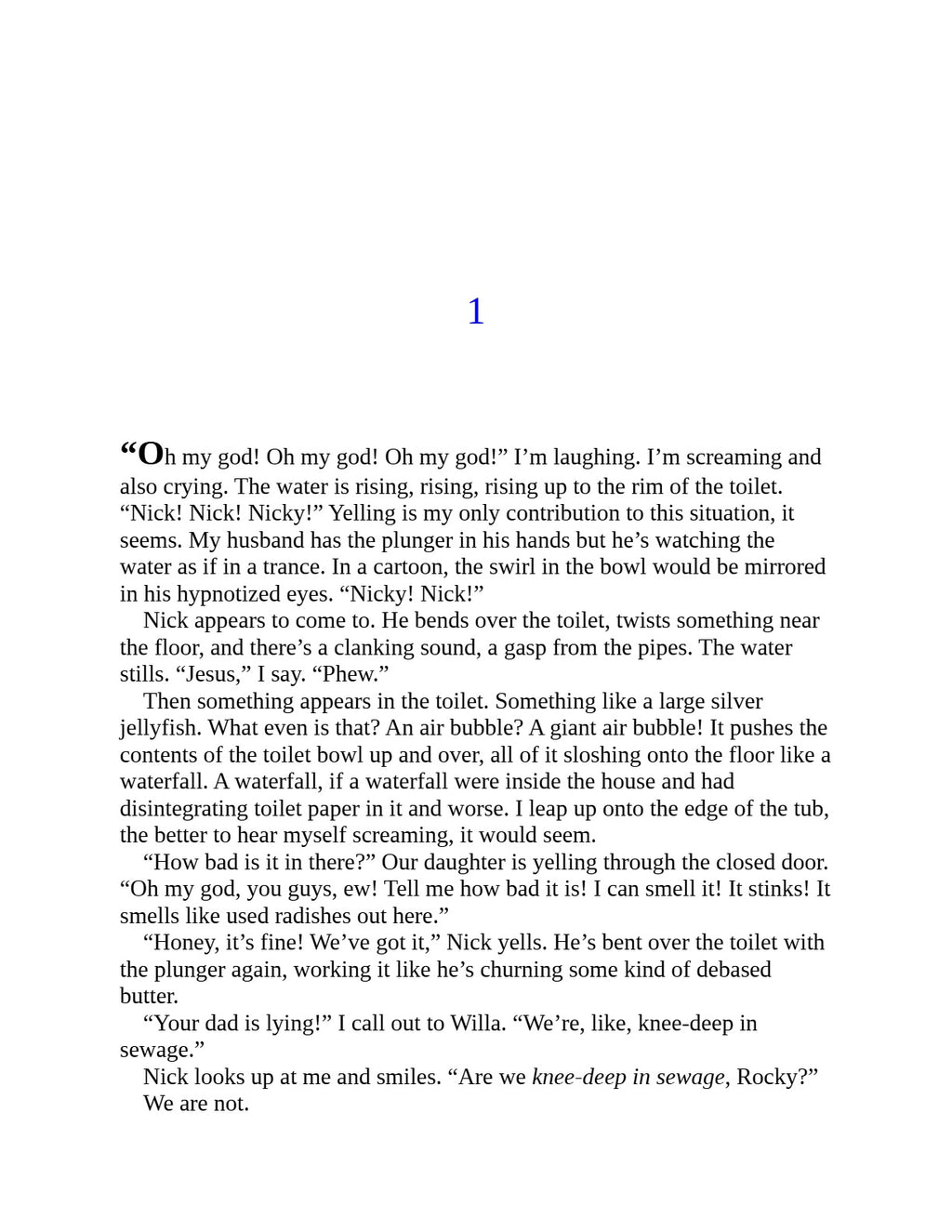 Sandwich by Catherine Newman | Instant PDF Download (No Physical Book)