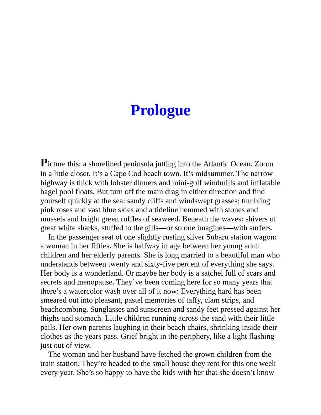 Sandwich by Catherine Newman | Instant PDF Download (No Physical Book)