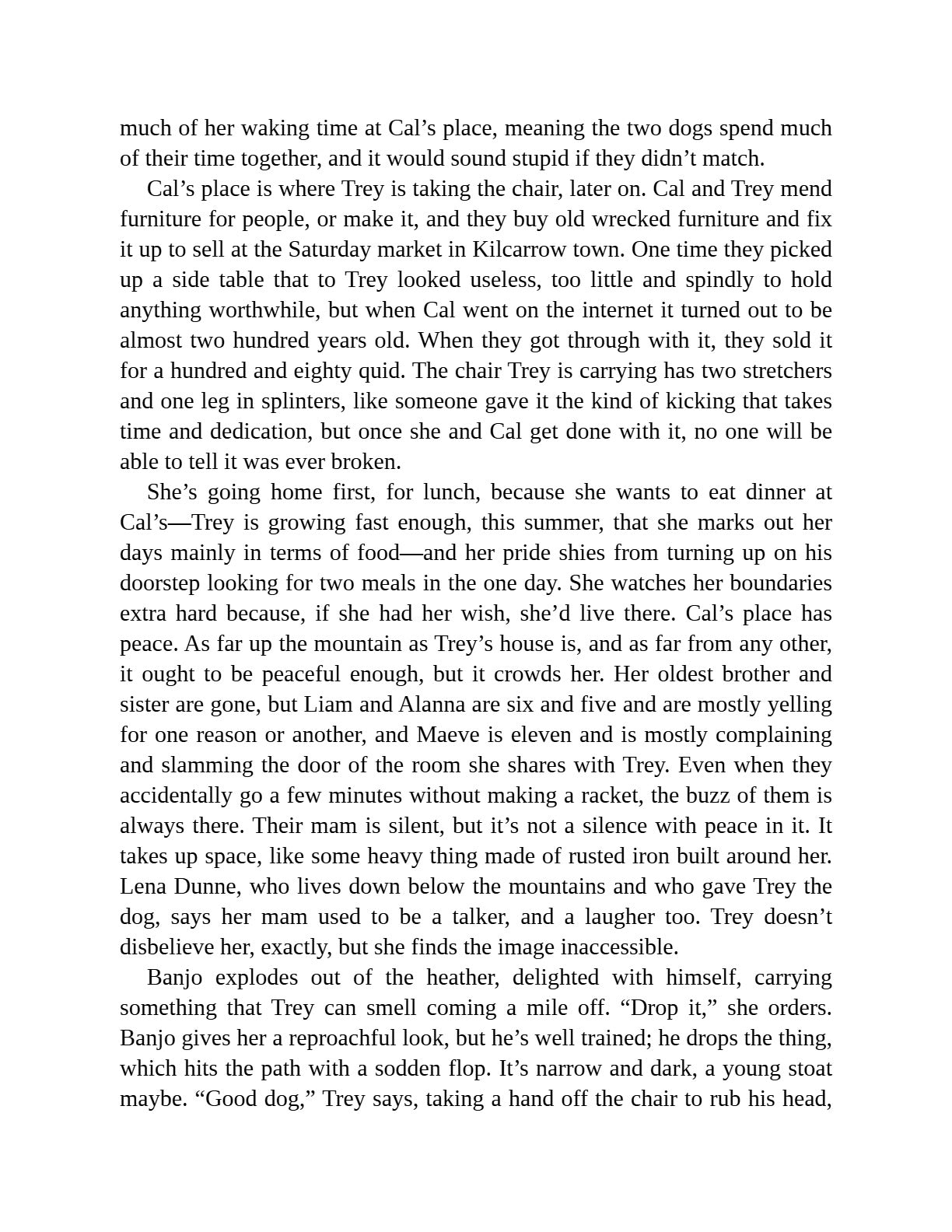 The Hunter by Tana French (Book 2 of 3: Cal Hooper) | Instant PDF Download (No Physical Book)