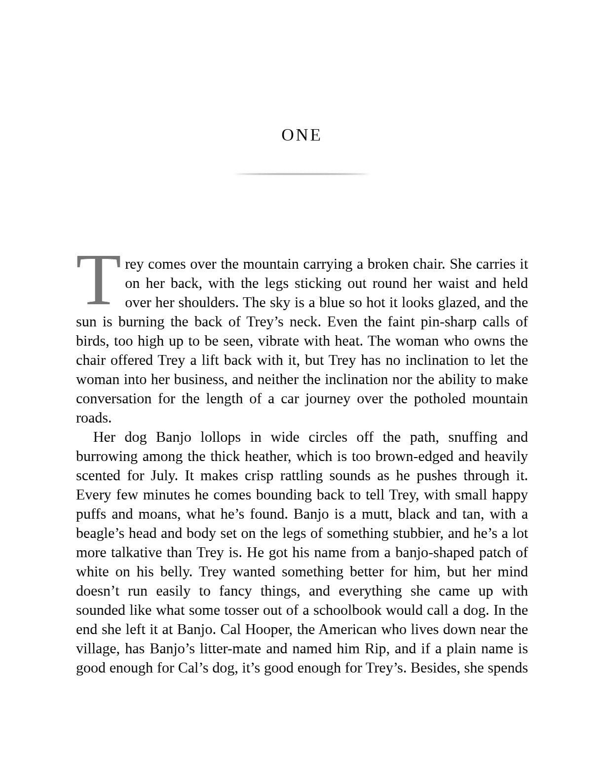 The Hunter by Tana French (Book 2 of 3: Cal Hooper) | Instant PDF Download (No Physical Book)