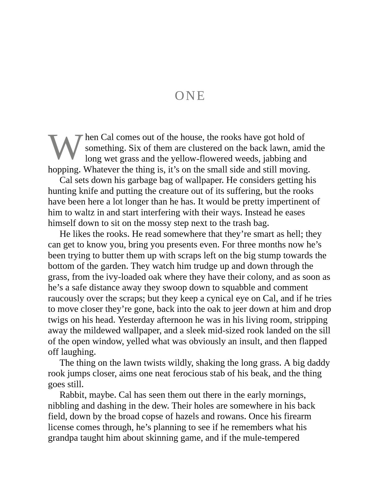The Searcher by Tana French (Book 1 of 3: Cal Hooper) | Instant PDF Download (No Physical Book)