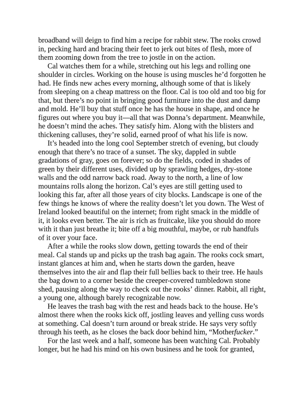 The Searcher by Tana French (Book 1 of 3: Cal Hooper) | Instant PDF Download (No Physical Book)