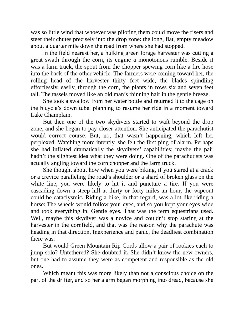 The Skydivers by Chris Bohjalian (Book 4 of 6: Alibis) | Instant PDF Download (No Physical Book)