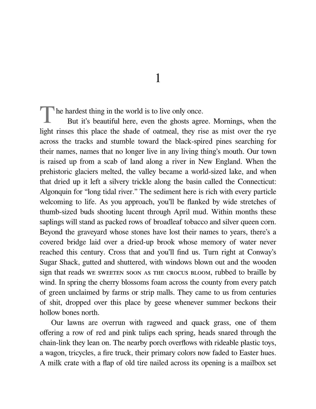 The Emperor of Gladness: Oprah's Book Club: A Novel by Ocean Vuong | Instant PDF Download (No Physical Book)