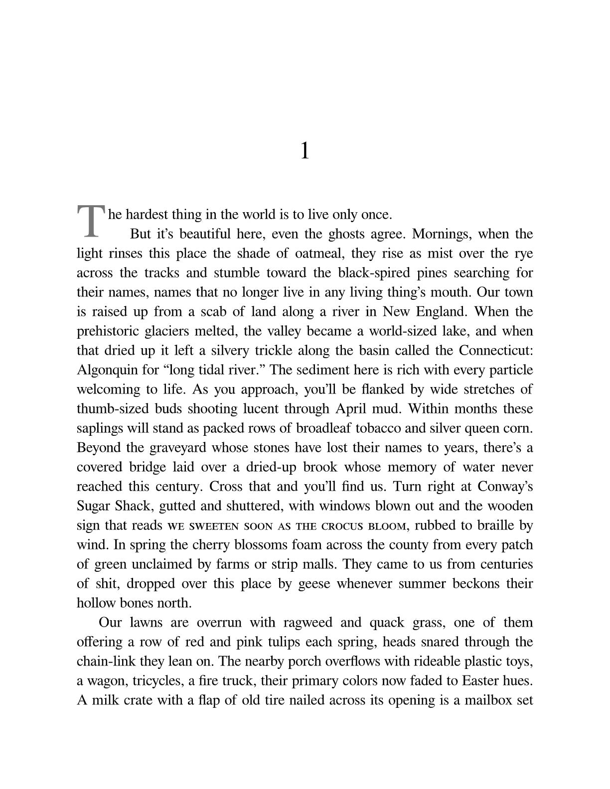 The Emperor of Gladness: Oprah's Book Club: A Novel by Ocean Vuong | Instant PDF Download (No Physical Book)