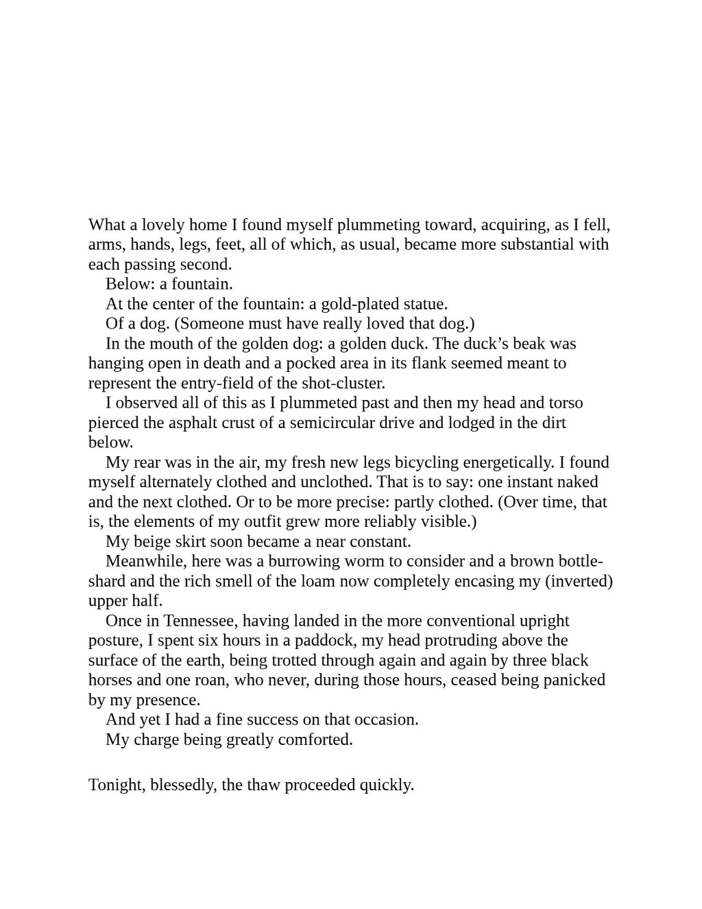 Vigil by George Saunders | Instant PDF Download (No Physical Book)