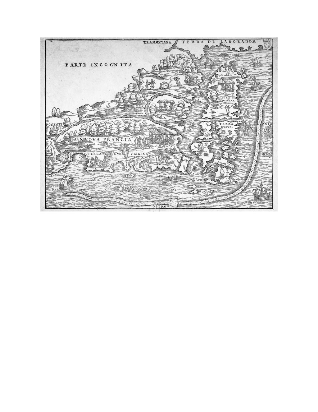 Isola by Allegra Goodman | Instant PDF Download (No Physical Book)