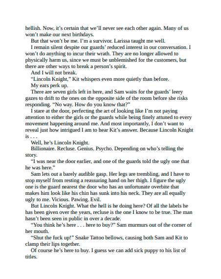 The Auction by Sadie Kincaid | Instant PDF Download (No Physical Book)