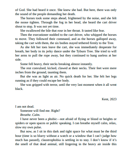 The Lost Book of Elizabeth Barton by Jennifer N. Brown | Instant PDF Download