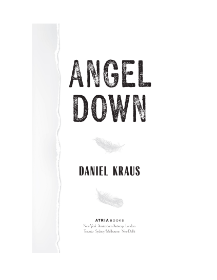 Angel Down by Daniel Kraus | Instant PDF Download (No Physical Book)