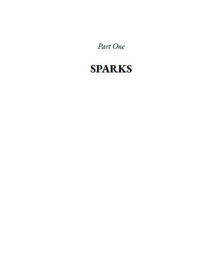 The Burning Side: A Novel by Sarah Damoff | Instant PDF Download (No Physical Book)