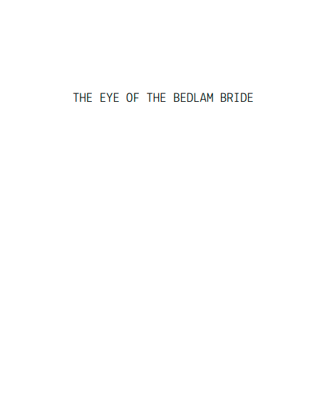 The Eye of the Bedlam Bride by Matt Dinniman (Book 6 of 8: Dungeon Crawler Carl) | Instant PDF Download (No Physical Book)