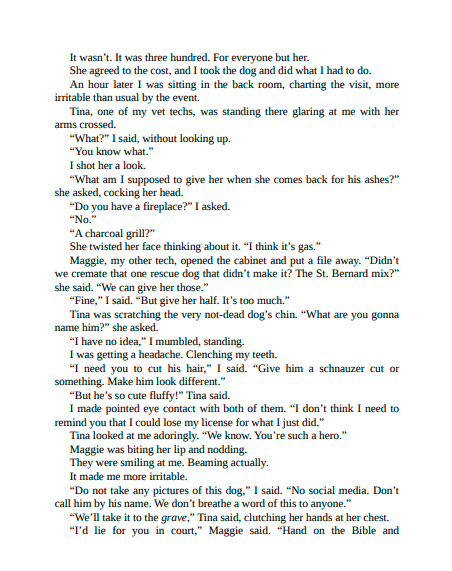 Say You'll Remember Me by Abby Jimenez | Instant PDF Download (No Physical Book)