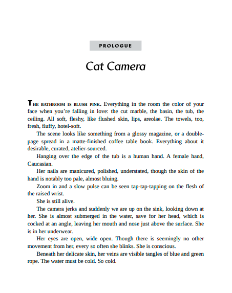 Nine Lives by Catherine Steadman | Instant PDF Download (No Physical Book)