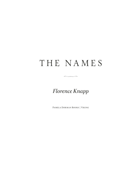 The Names by Florence Knapp | Instant PDF Download (No Physical Book)