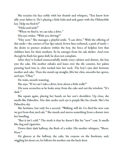The Bright Years by Sarah Damoff | Instant PDF Download (No Physical Book)