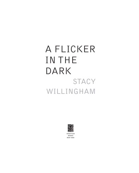 A Flicker in the Dark by Stacy Willingham | Instant PDF Download (No Physical Book)