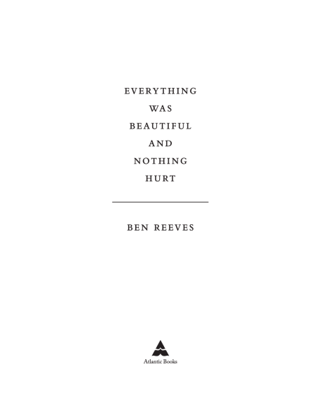Everything Was Beautiful and Nothing Hurt by Ben Reeves | Instant PDF Download (No Physical Book)