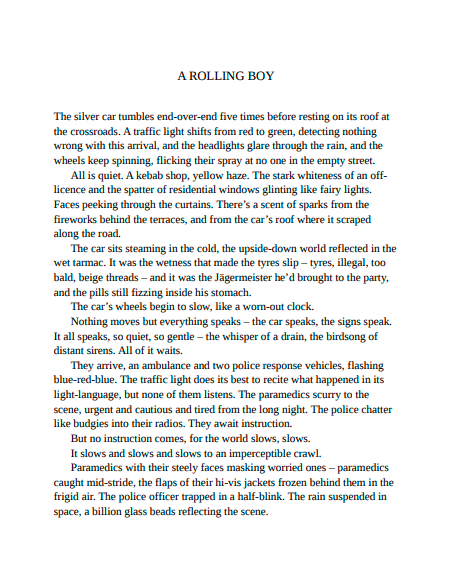 Everything Was Beautiful and Nothing Hurt by Ben Reeves | Instant PDF Download (No Physical Book)
