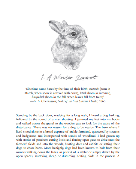 Raising Hare: A Memoir by Chloe Dalton | Instant PDF Download (No Physical Book)