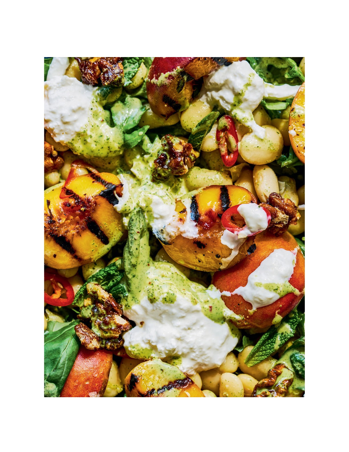 The Salad Project: How to Build Unlimited Salads by Clem Haxby | Instant PDF Download (No Physical Book)