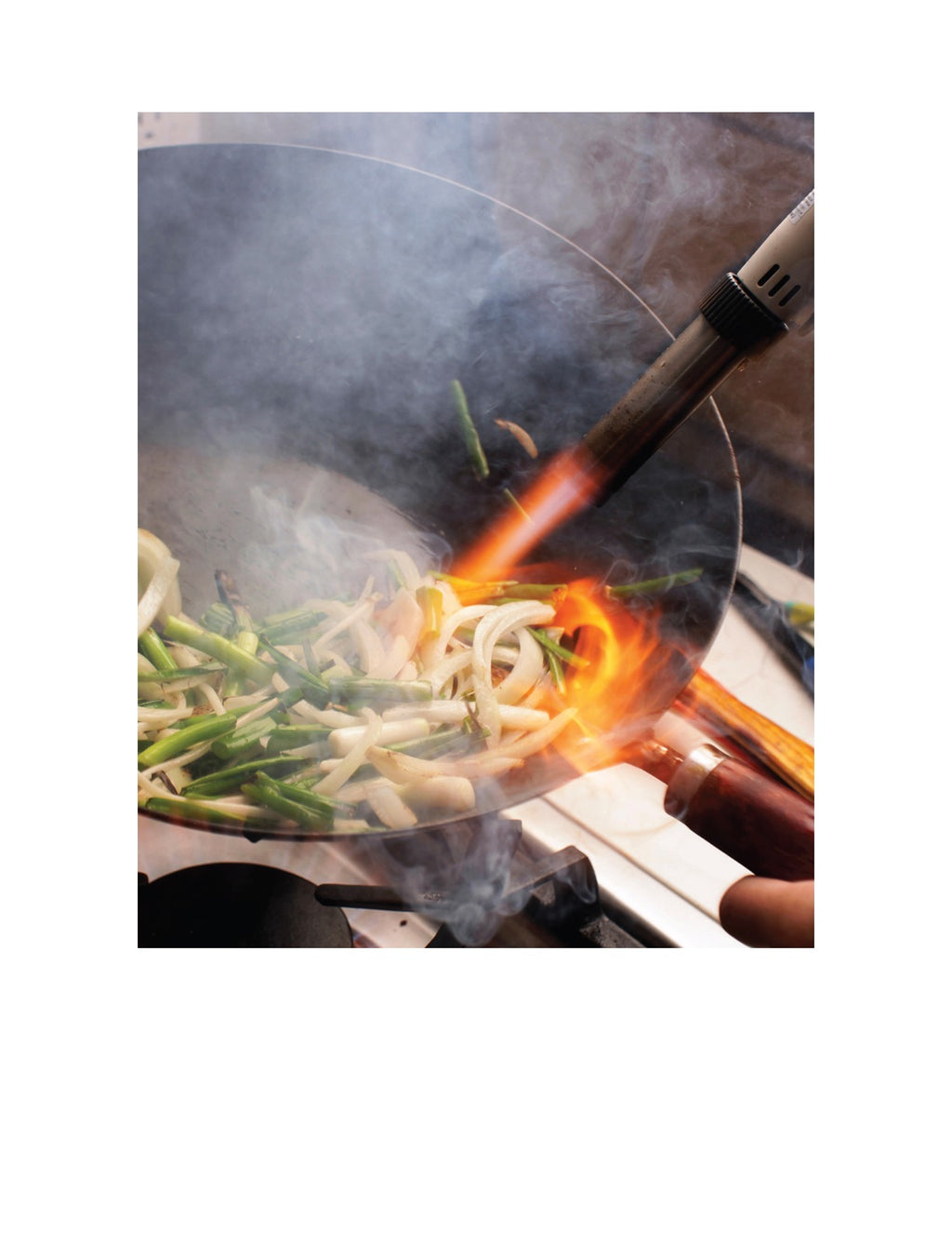 The Wok: Recipes and Techniques by J. Kenji López-Alt | Instant PDF Download (No Physical Book)