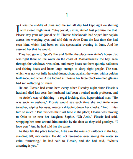 The Things We Never Say by Elizabeth Strout | Instant PDF Download (No Physical Book)