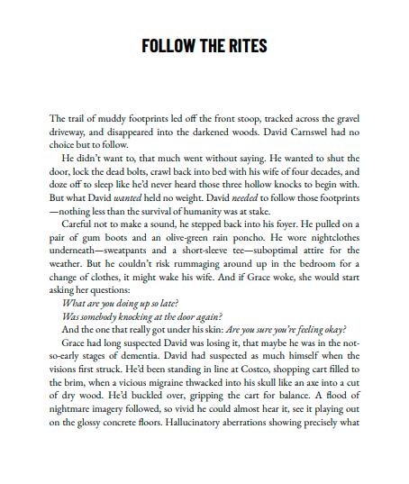 The Caretaker: A Novel by Marcus Kliewer | Instant PDF Download (No Physical Book)