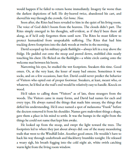 The Caretaker: A Novel by Marcus Kliewer | Instant PDF Download (No Physical Book)