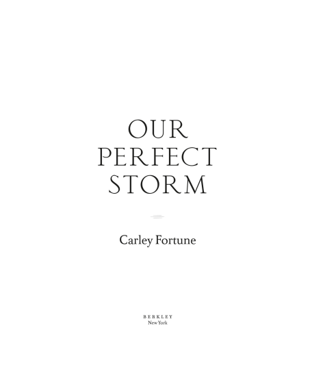 Our Perfect Storm by Carley Fortune | Instant PDF Download | Romance Novel