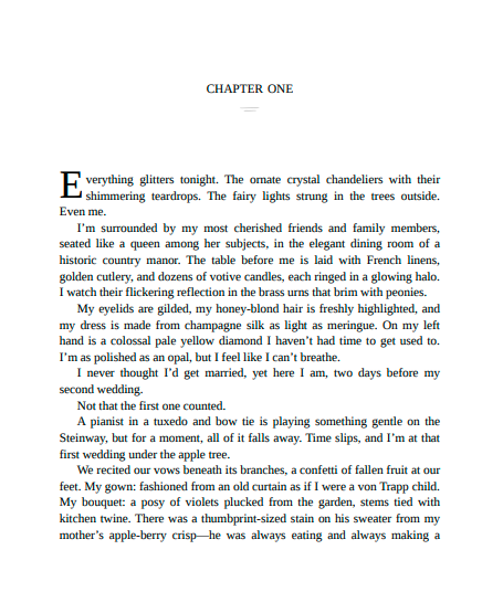 Our Perfect Storm by Carley Fortune | Instant PDF Download | Romance Novel